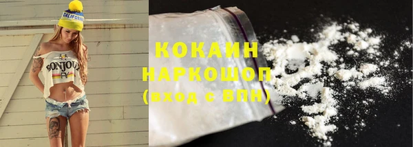 прущие грибы Покров