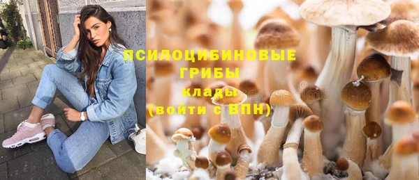 амф Покачи