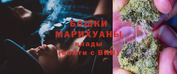 прущие грибы Покров
