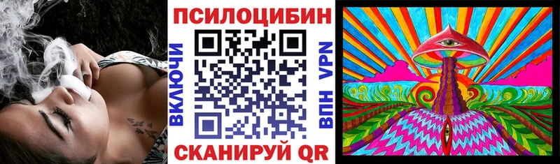 Купить закладки  Белогорск  Галлюциногенные грибы Psilocybe 